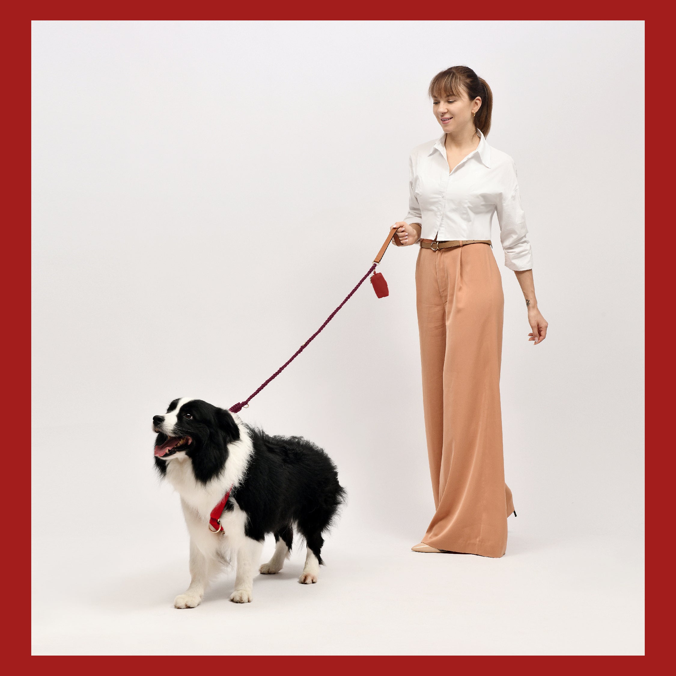  Premium Leather Red Dog Accessories Combo