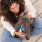 Handcrafted Leather Dog Collar - Vivid Blue