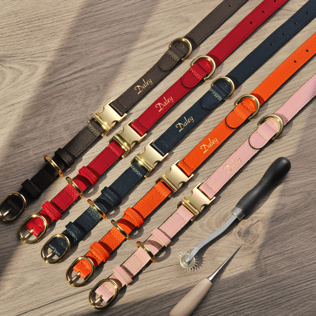 Handcrafted Engraved Leather Dog Collar - Saffron Orange