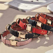 Handcrafted Engraved Leather Dog Collar - Saffron Orange