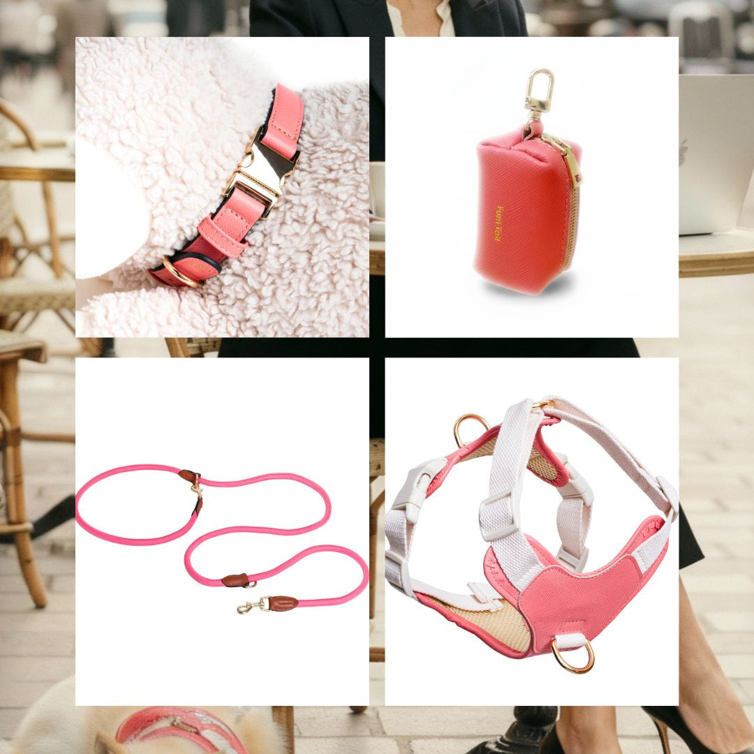 Collage of pink pet accessories including a collar, leash, and harness.
