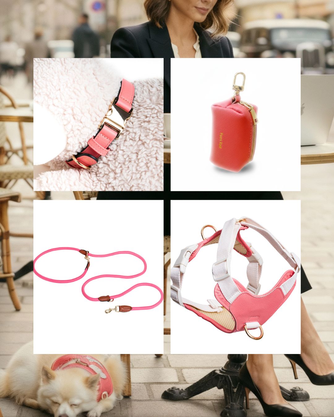 Collage of pink pet accessories including a collar, leash, and harness.