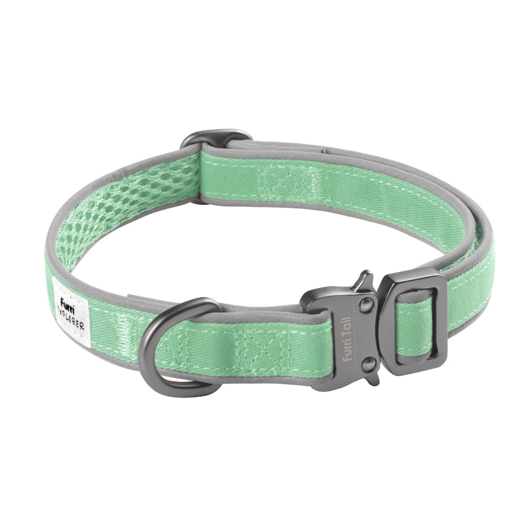 Mint Green dog collar with silver buckle with breathable air mesh canvas