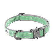 Mint Green dog collar with silver buckle with breathable air mesh canvas