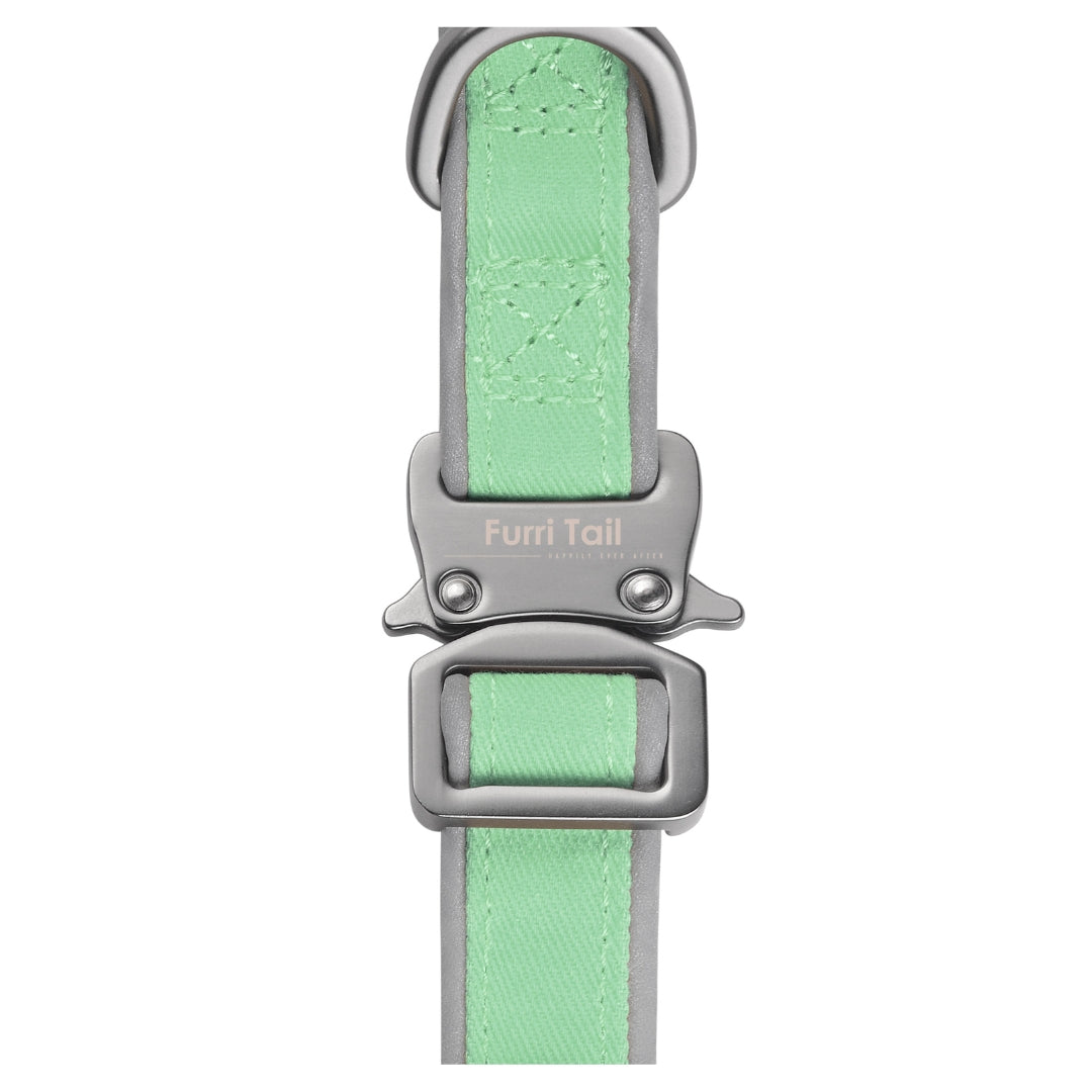 Dog collar with green strap and silver buckle of breathable air mesh canvas