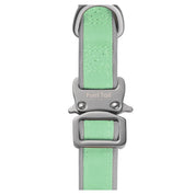 Dog collar with green strap and silver buckle of breathable air mesh canvas