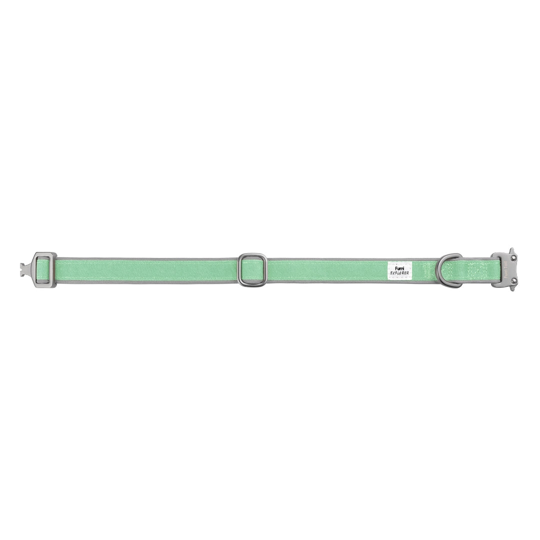 Mint green dog collar with silver hardware buckle of breathable air mesh canvas