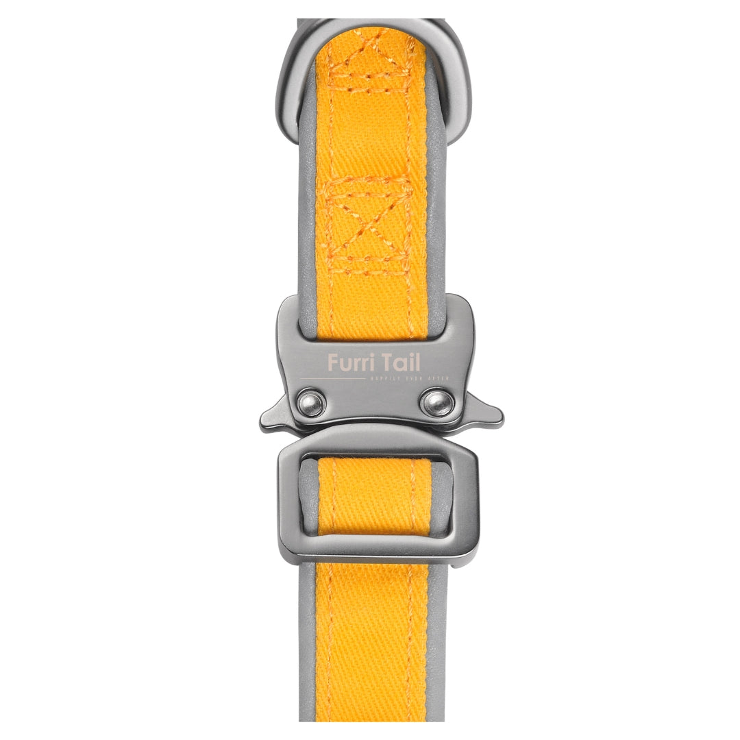 Furri Explorer 運動型狗項圈 - 黃色