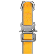 Furri Explorer 運動型狗項圈 - 黃色