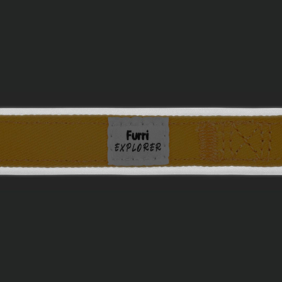Furri Explorer 運動型狗項圈 - 黃色