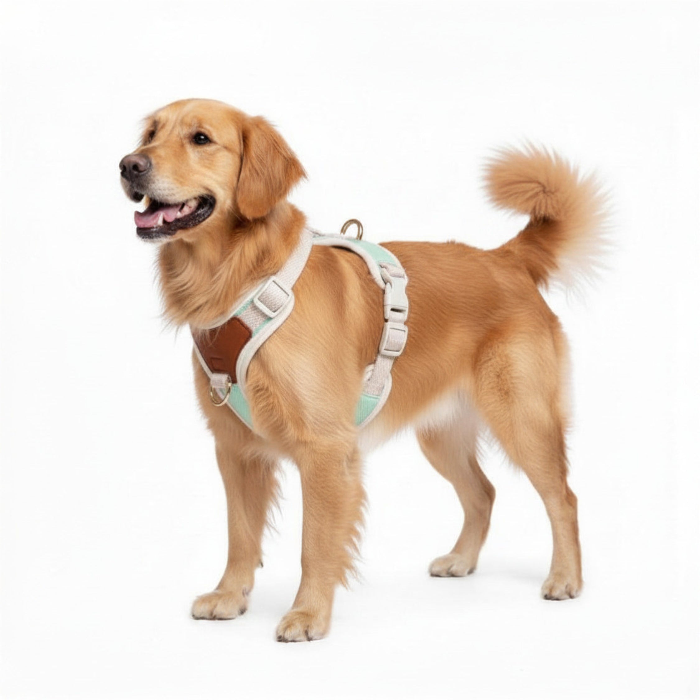 Furri Explorer Canvas Harness: Rugged Adventure for Your Pet - Mint Green
