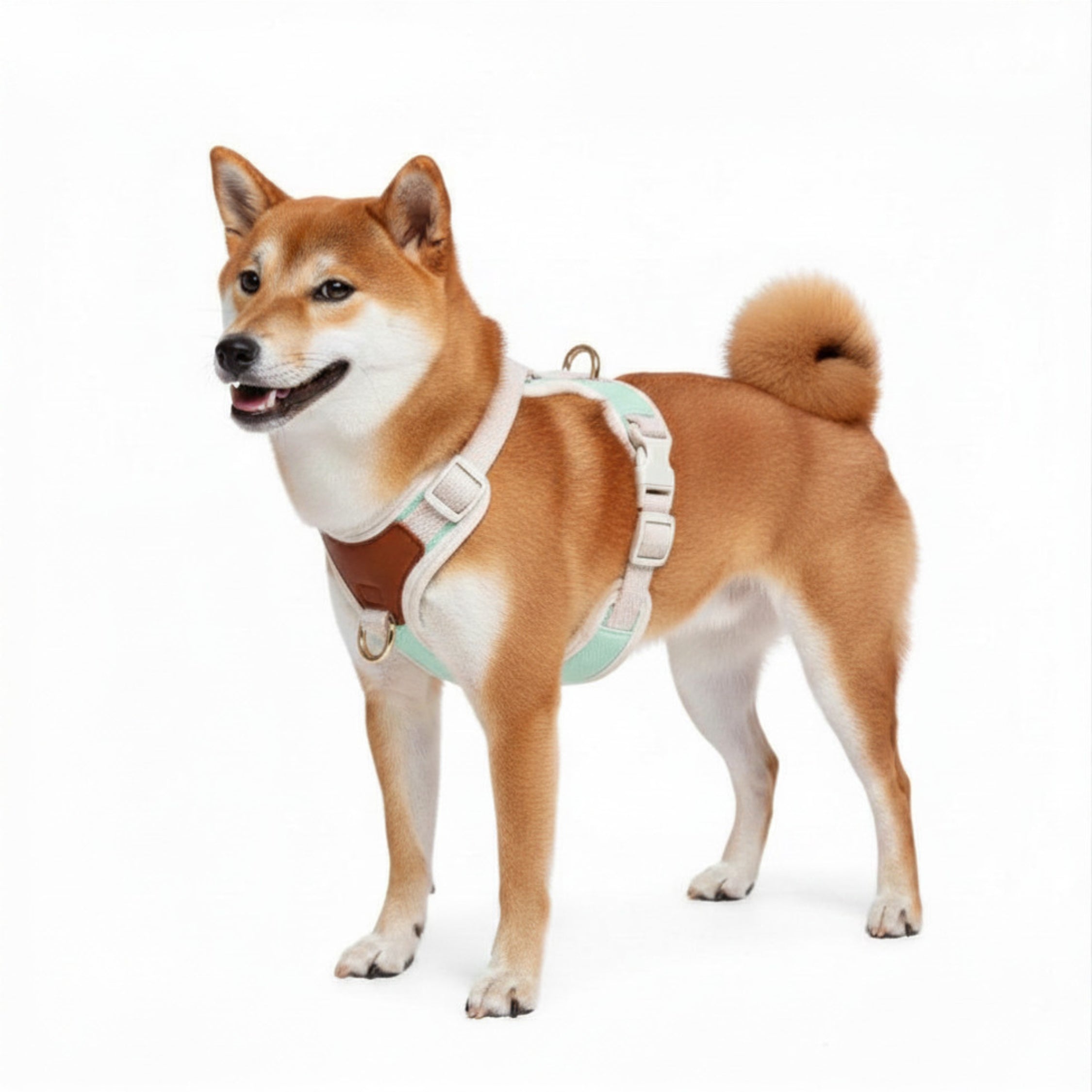 Furri Explorer Canvas Harness: Rugged Adventure for Your Pet - Mint Green