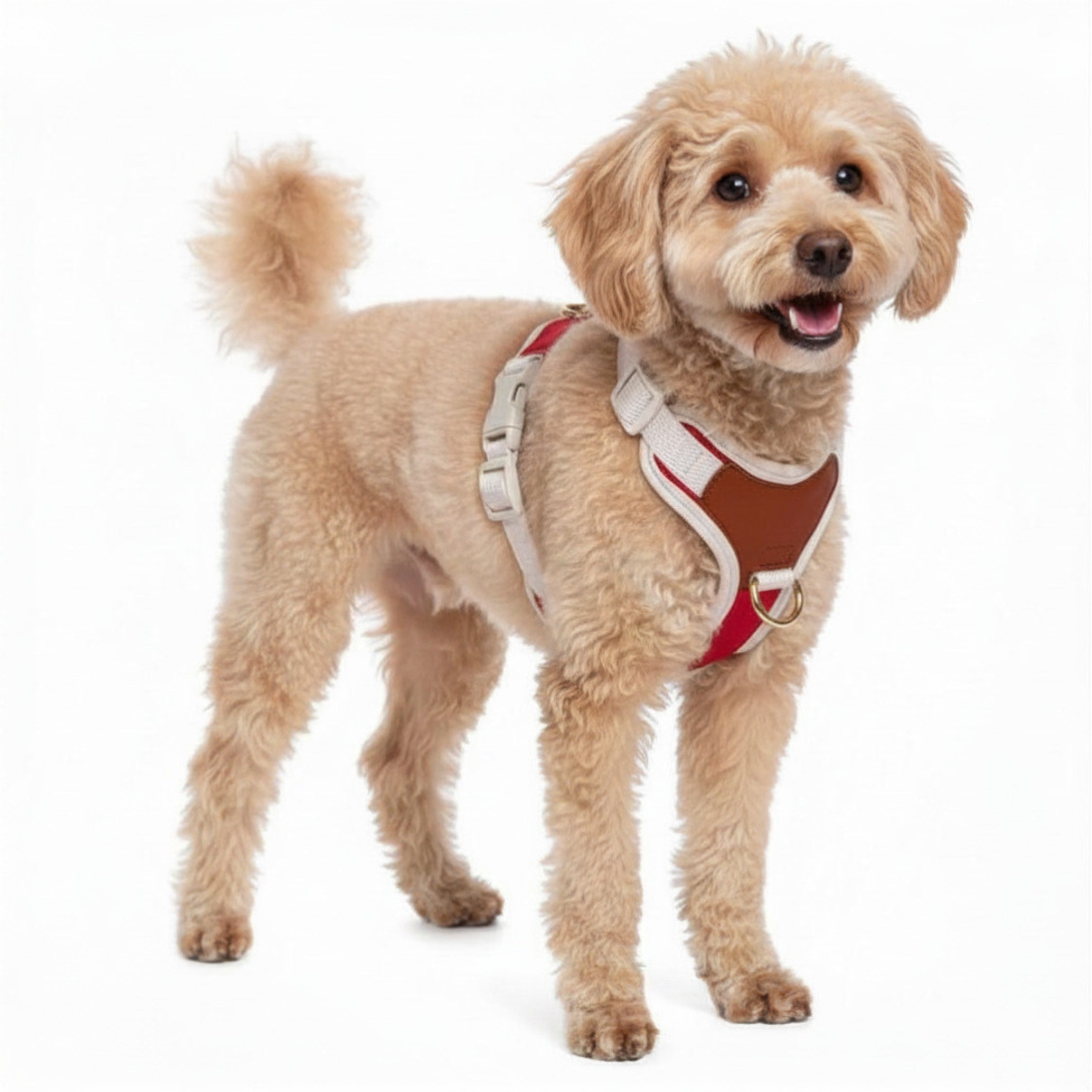 Furri-explorer-harness-red-1.jpg