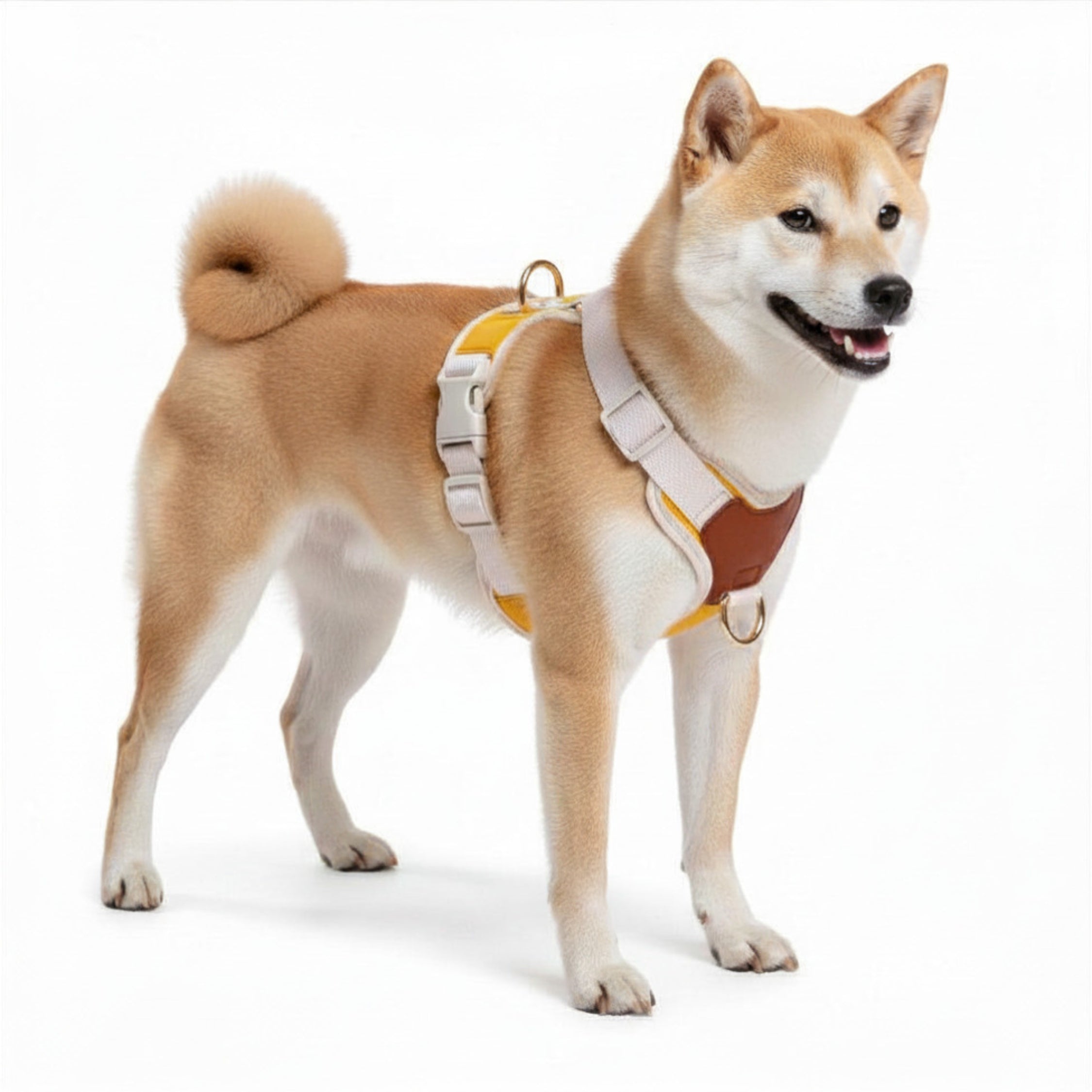 Furri Explorer帆布胸背帶：為您的愛寵打造的堅固耐用的探險裝備 - 黃色