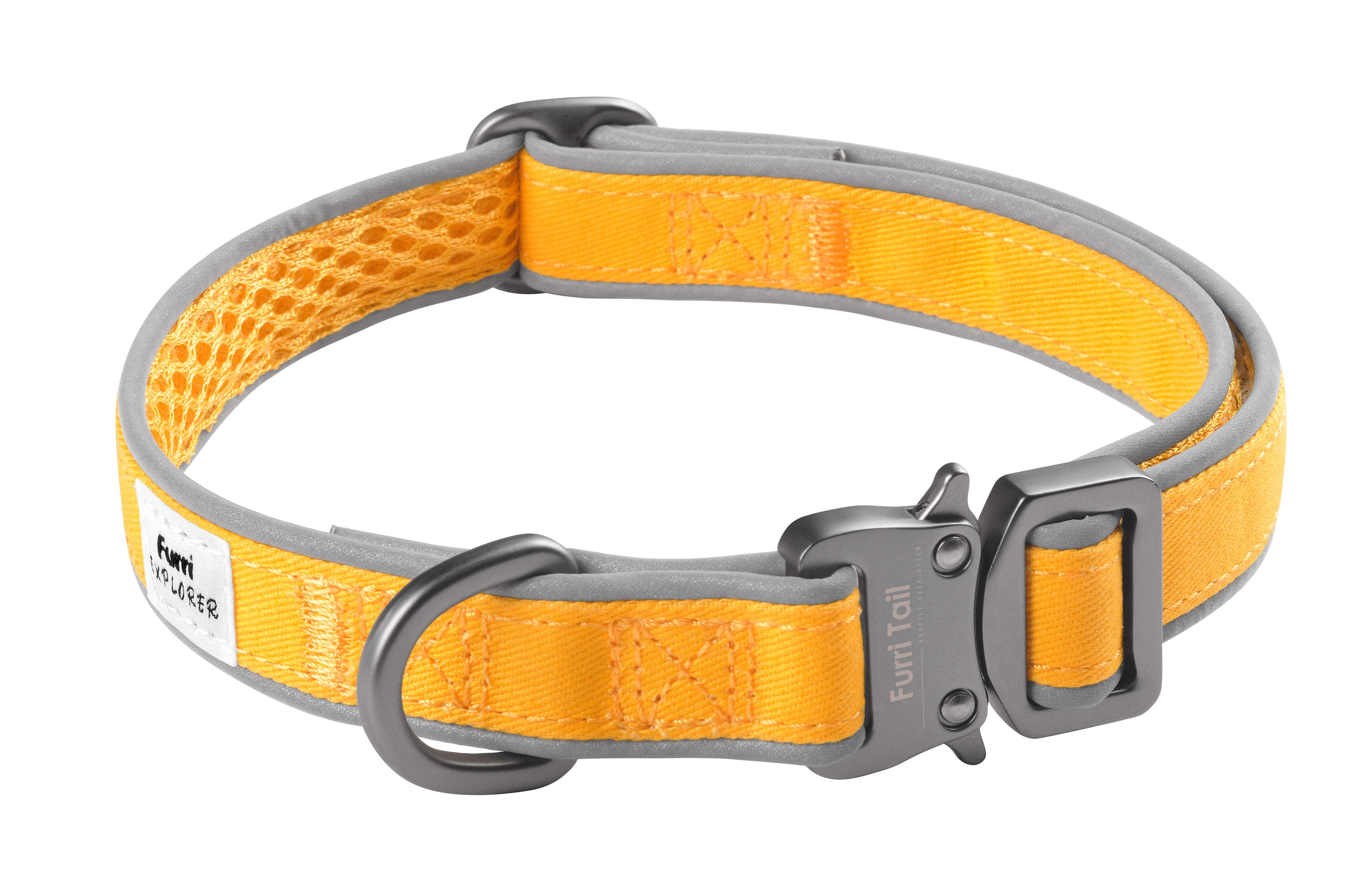 A vivid yellow canvas dog collar with a metal buckle, designed for small to large dogs.