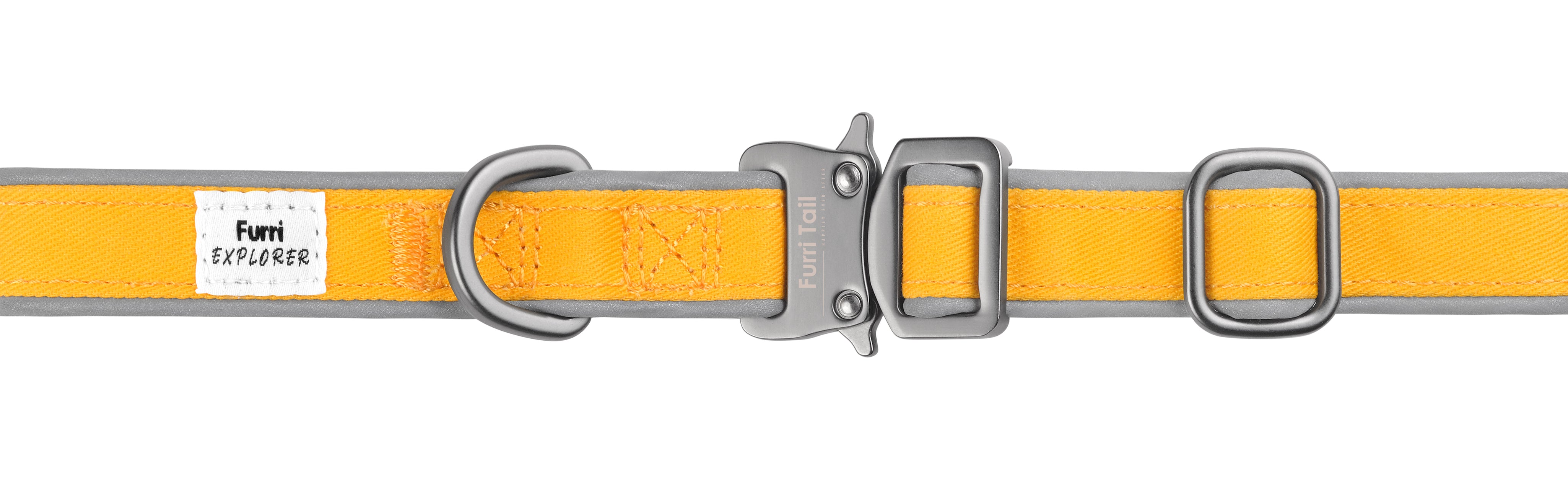 Yellow dog collar with metal buckle on a white background