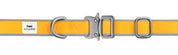 Yellow dog collar with metal buckle on a white background