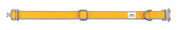 Yellow dog collar with silver buckle on a white background