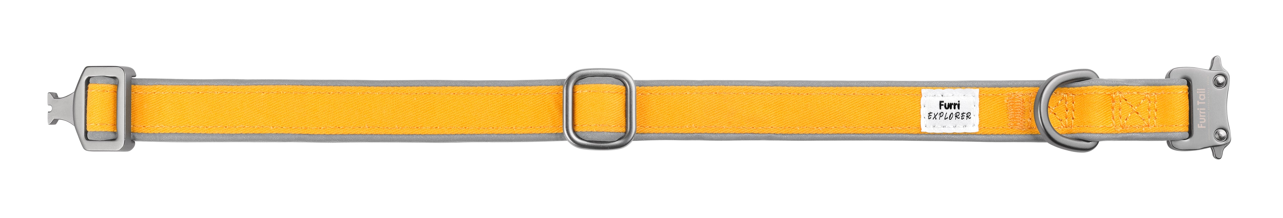 Yellow dog collar with silver buckle on a white background