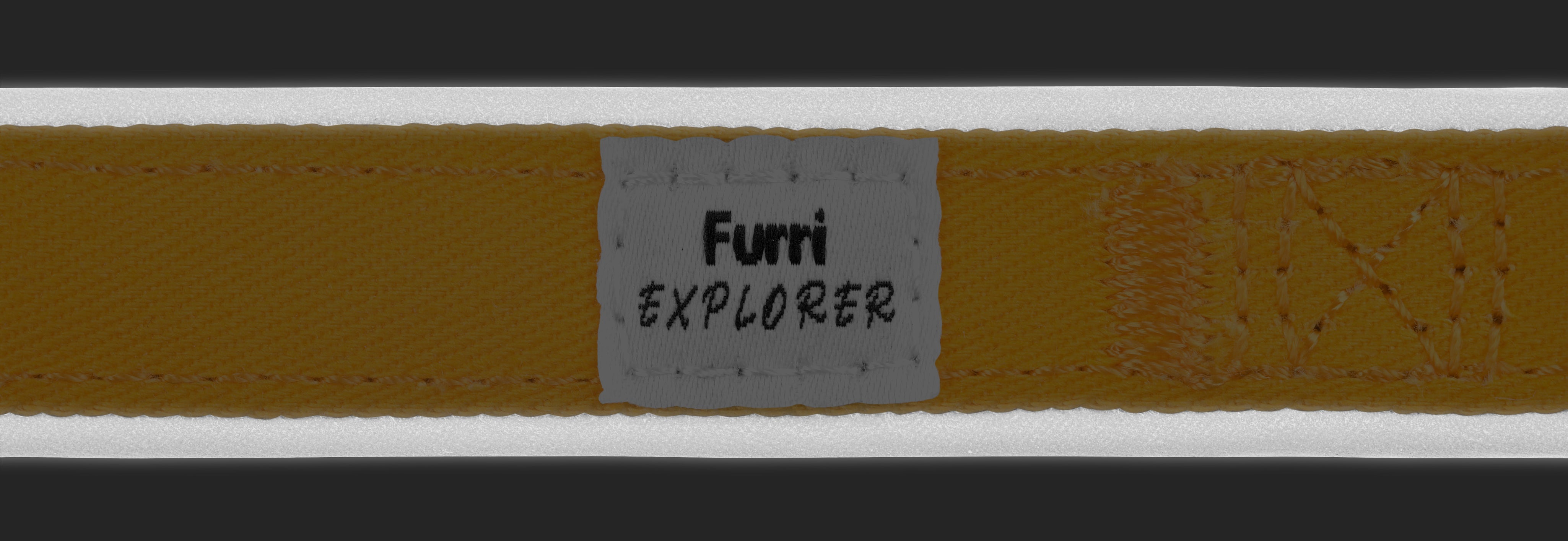 Yellow collar with a 'Furri Explorer' label on a black background to show the reflective features