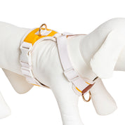 White dog harness with gold hardware on a mannequin