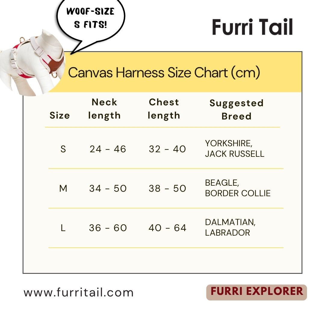 Canvas harness size chart for dogs with measurements and suggested breeds, featuring the brand 'Furri Tail'.