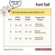 Canvas harness size chart for dogs with measurements and suggested breeds, featuring the brand 'Furri Tail'.