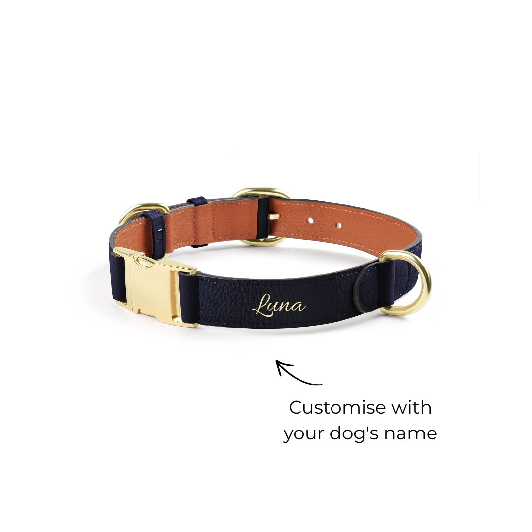 Handcrafted Engraved Leather Dog Collar - Navy Blue