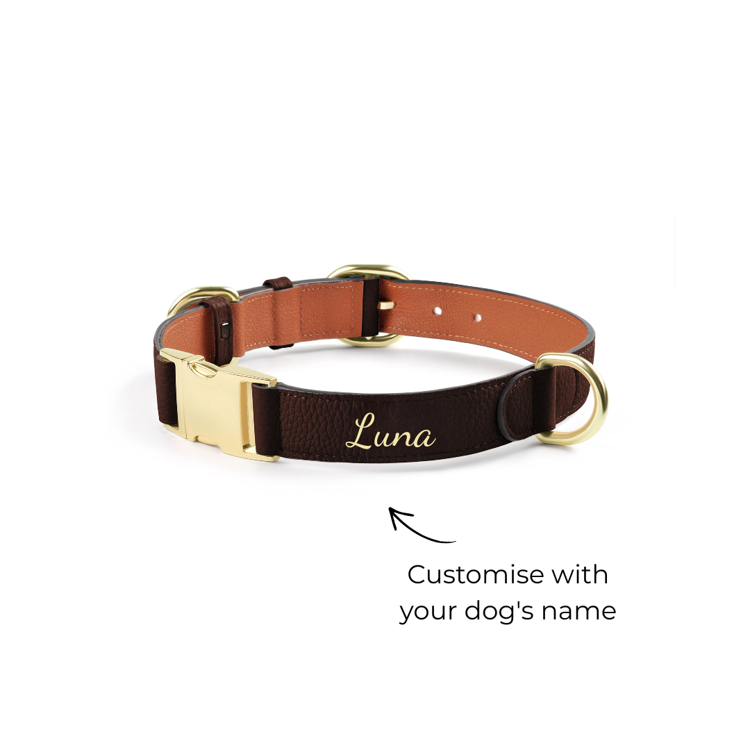 Handcrafted Engraved Leather Dog Collar - Cognac Brown