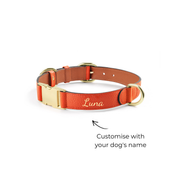 Handcrafted Engraved Leather Dog Collar - Saffron Orange