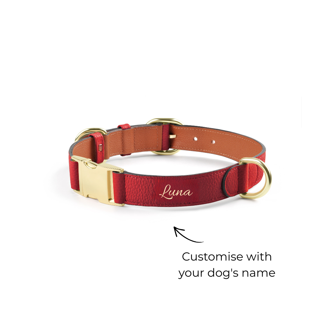 Furri_Tail-Leather-Dog-Collar-Red_684ac4f4-069c-4878-8846-8cdfad4996d5.png