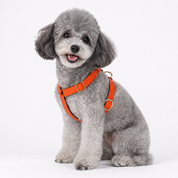 Luxe Leather Dog Harness - Saffron