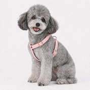 Luxe Leather Dog Harness - Pink