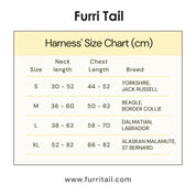 X'mas Gift Set Combo