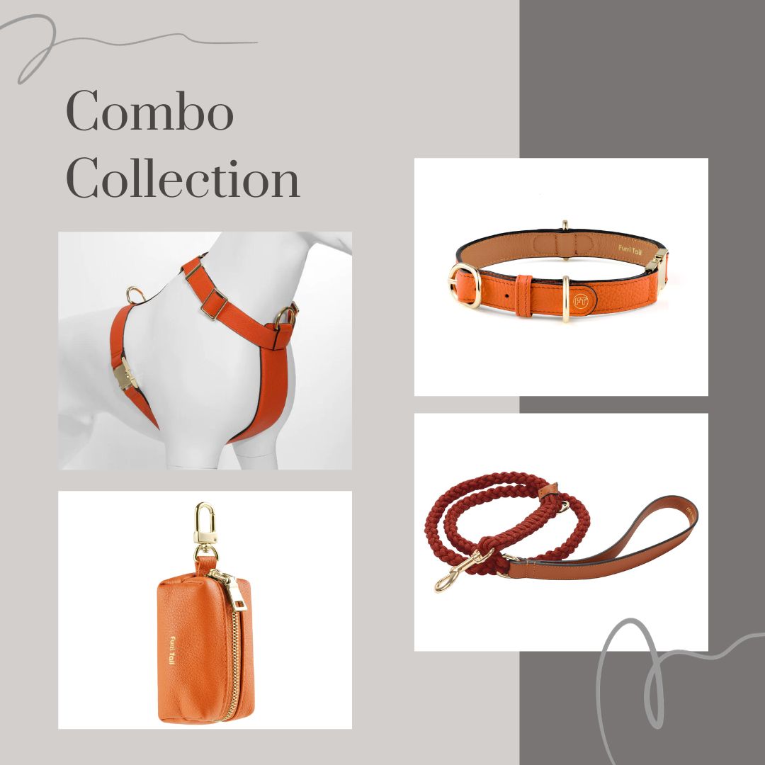  Premium Leather Saffron Orange Dog Collar Harness Leash Poop Bag Dispenser Combo