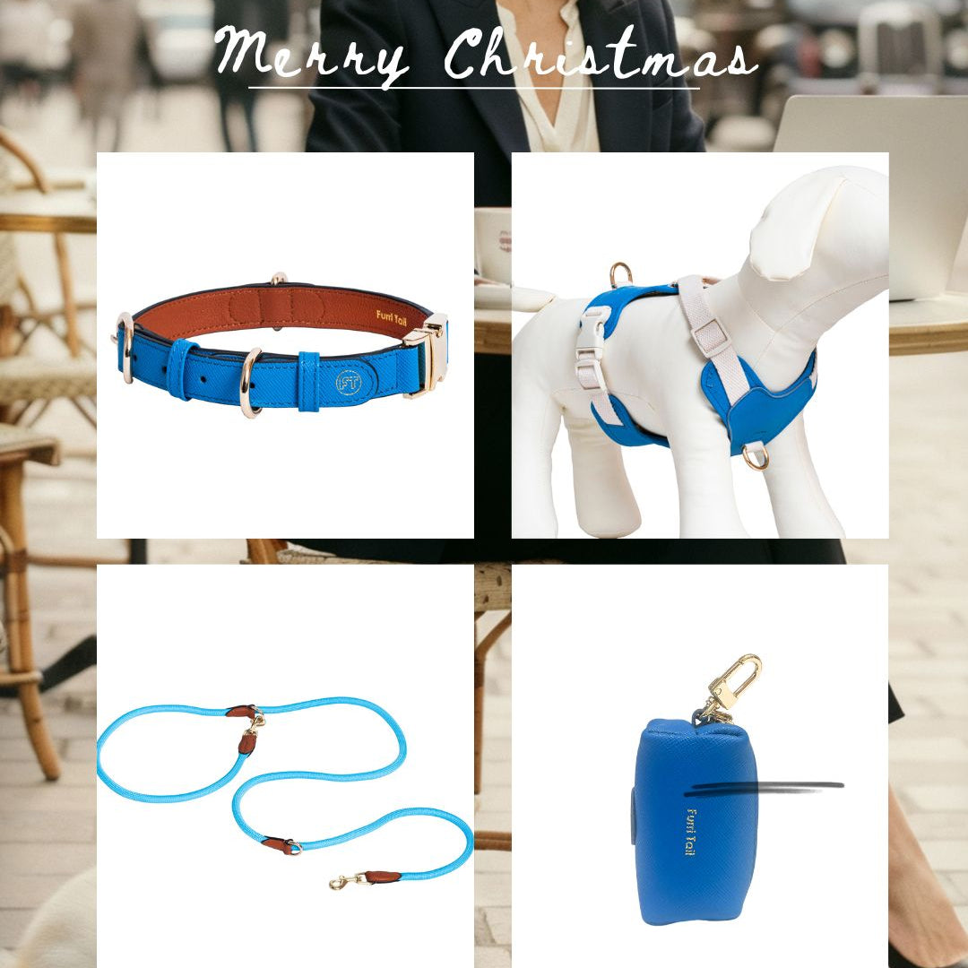 Christmas Pet Pamper 4-in-1 Leather Luxe Set Handcrafted Collar • Versatile 3-Way Leash • No-pull Harness • Chic Poop Bag Holder- Atlantic Blue