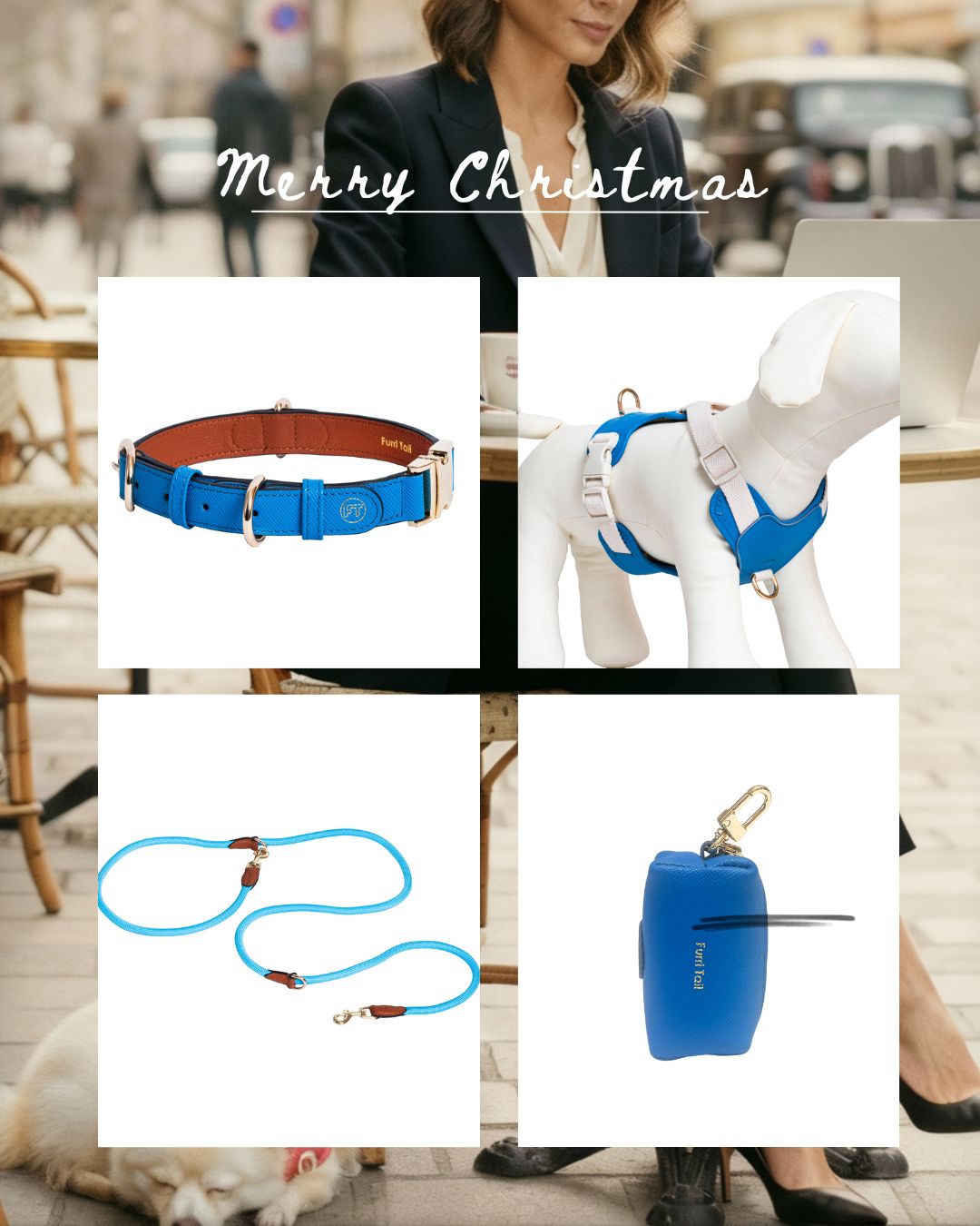 Handcrafted Engraved Leather Dog Collar, Harness, Leash and Pouch - Atlantic Blue