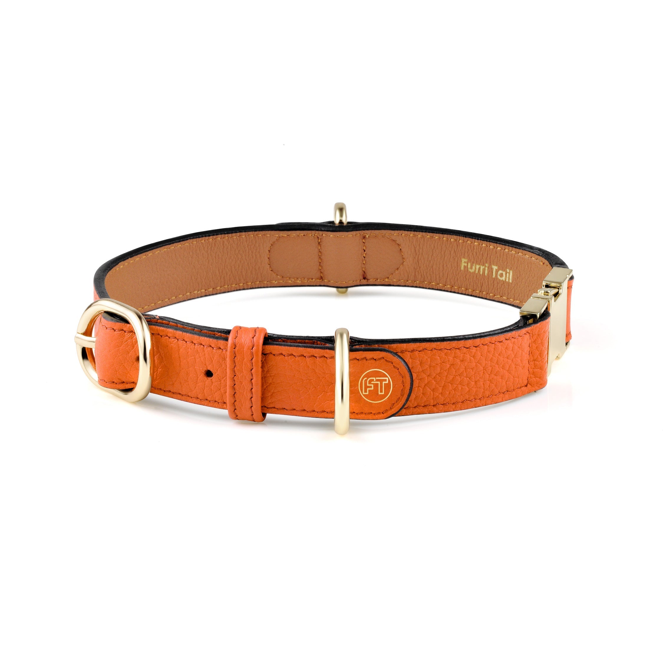  Premium Leather Saffron Orange Dog Collar