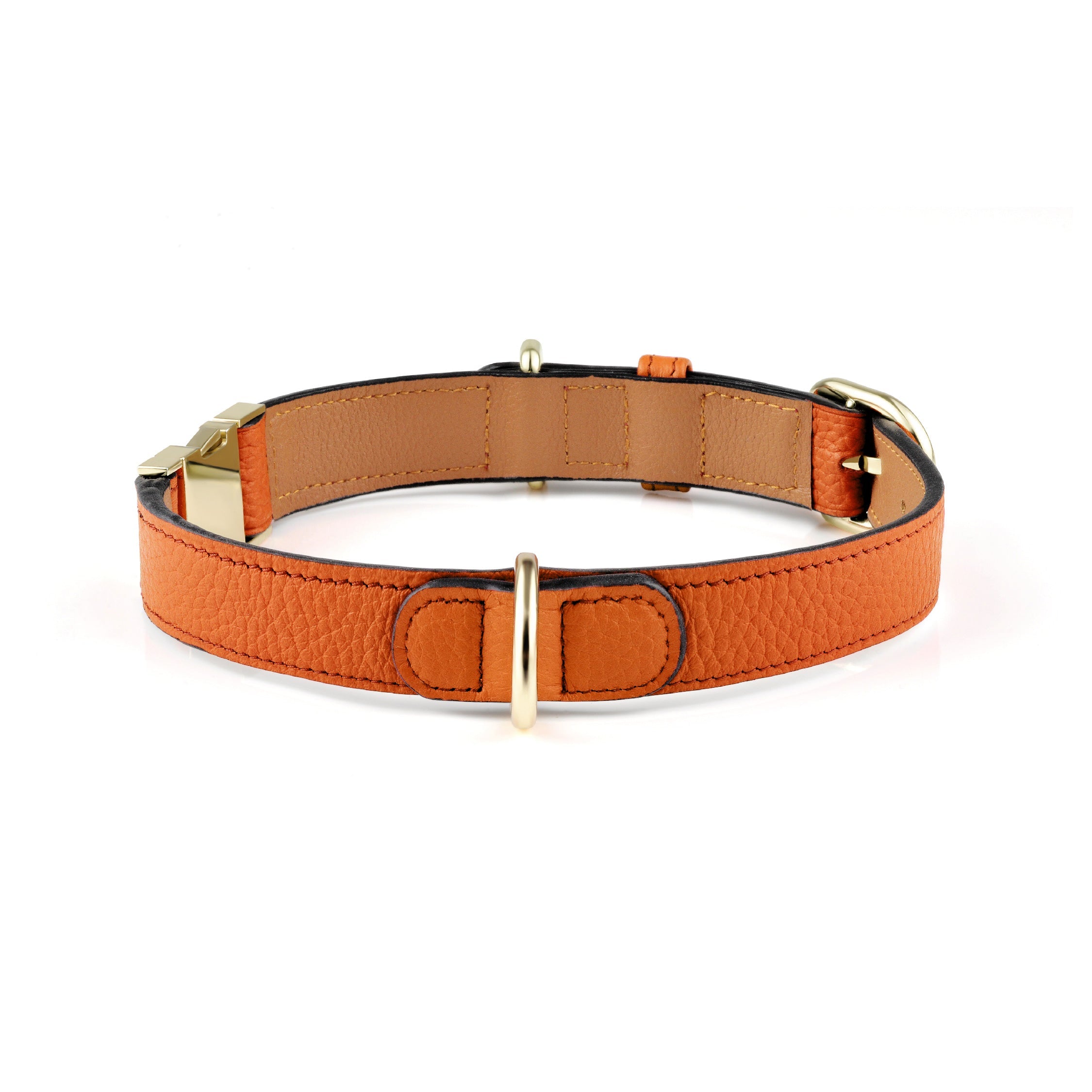 Premium Saffron Orange Leather Dog Collar