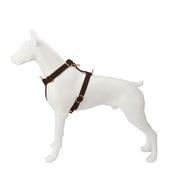 Premium Leather Cognac Brown Dog Harness