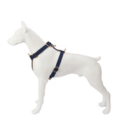  Premium Leather Navy Blue Dog Harness