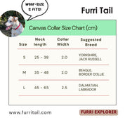 Furri Explorer 運動型狗項圈 - 紅色