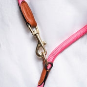 Close-up of a pink dog leash with brown leather and brass hardware on a white background