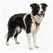 手工皮革狗項圈 - 橙色